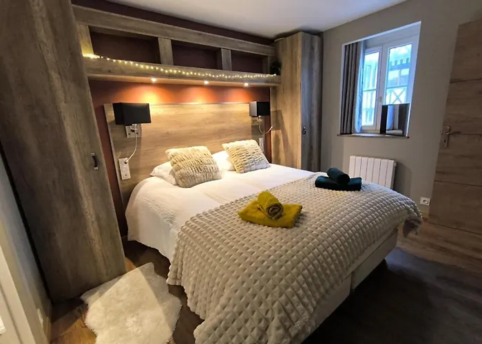 2 Pieces Cozy Place Morny Refait A Neuf