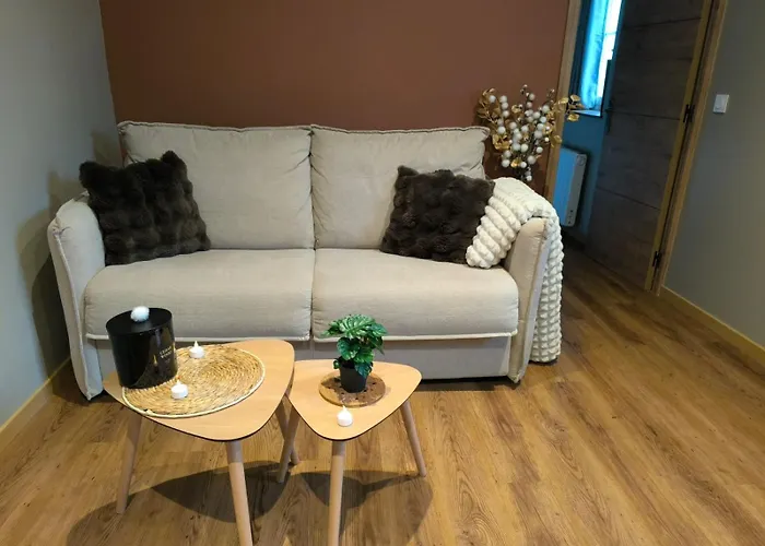 2 Pieces Cozy Place Morny Refait A Neuf